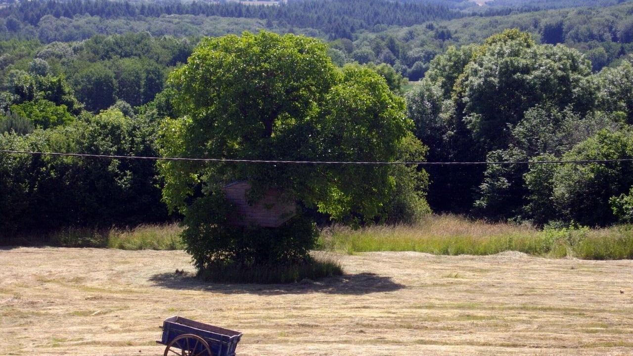 Photo of Others in Teilhet