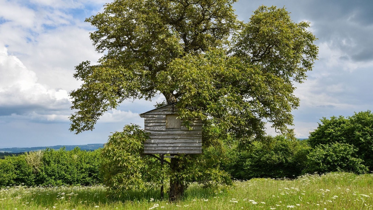 Photo of Others in Teilhet