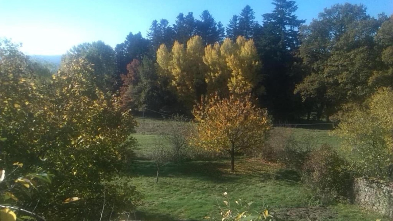 Photo of Others in Teilhet