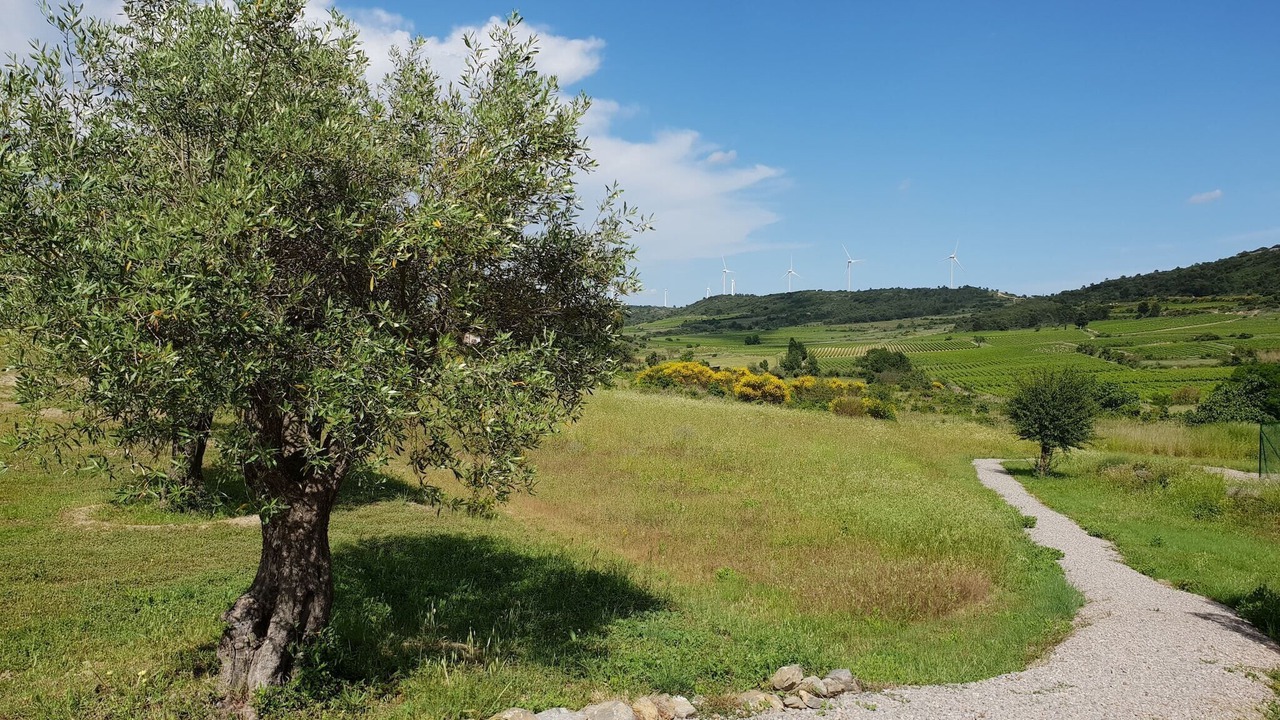 Photo of Outdoor in Montbrun-des-Corbieres