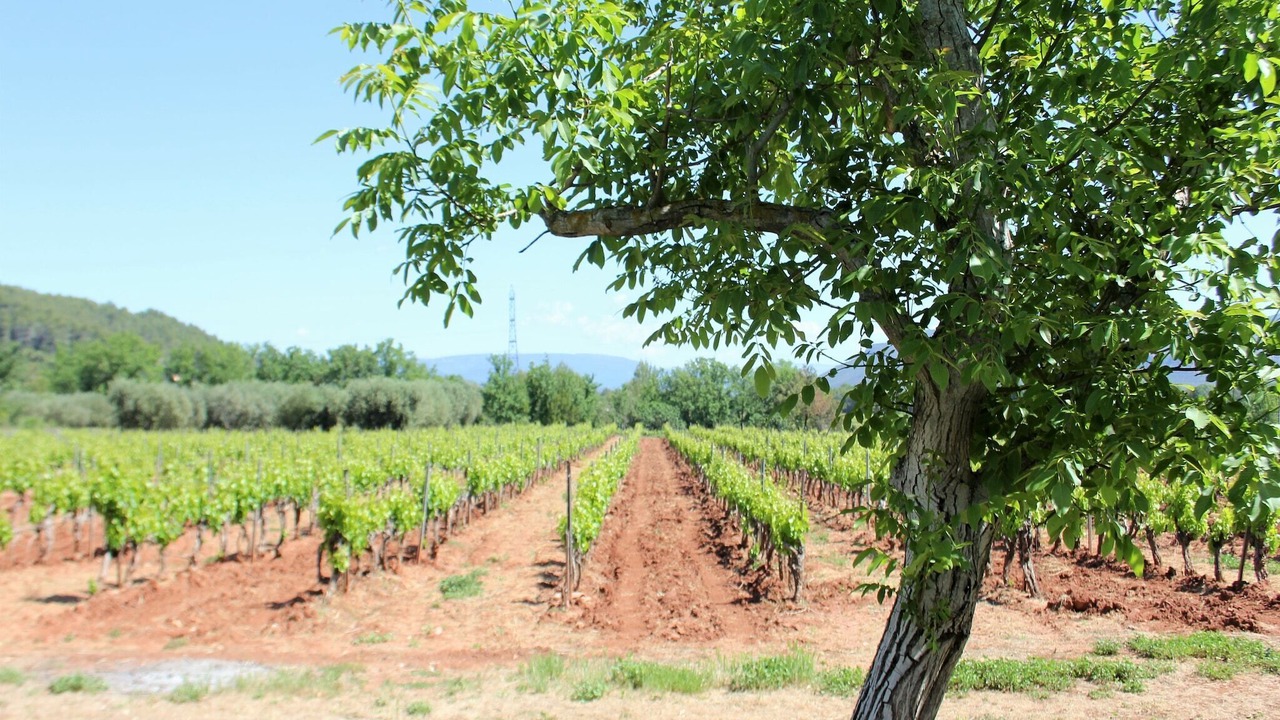 Photo of Others in La Motte