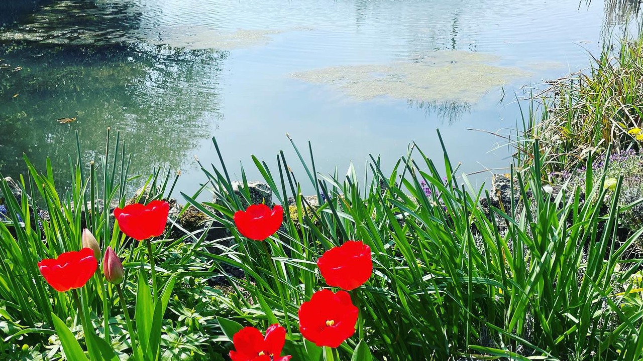 Photo of Outdoor in Chipping Campden