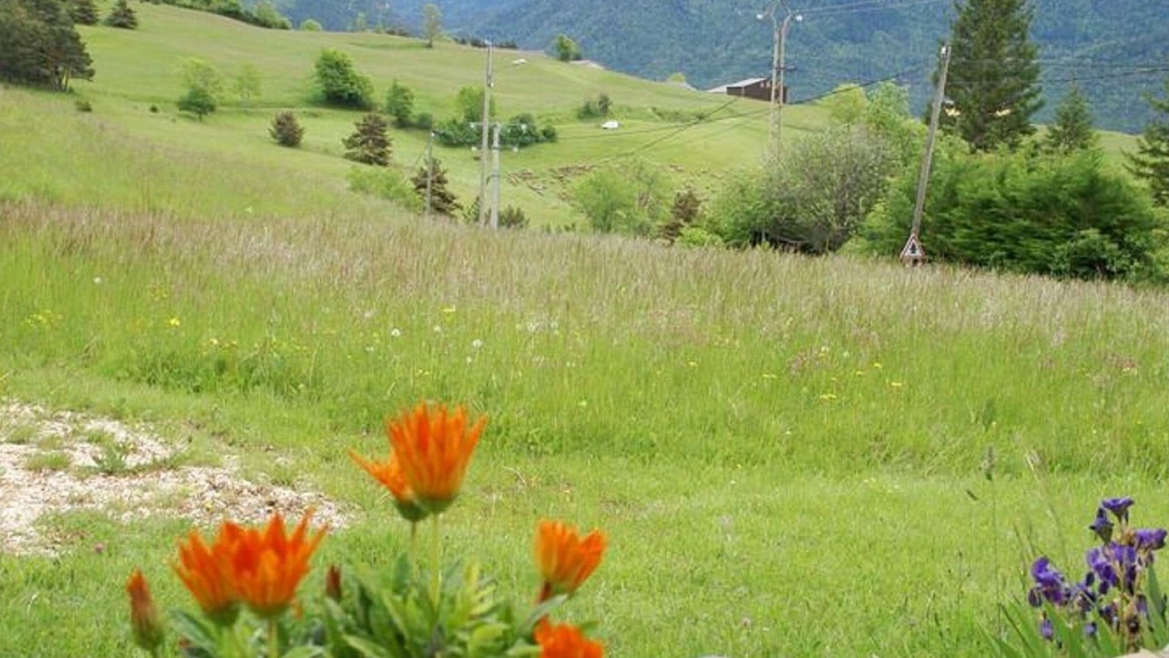 Photo of Outdoor in Lus-la-Croix-Haute