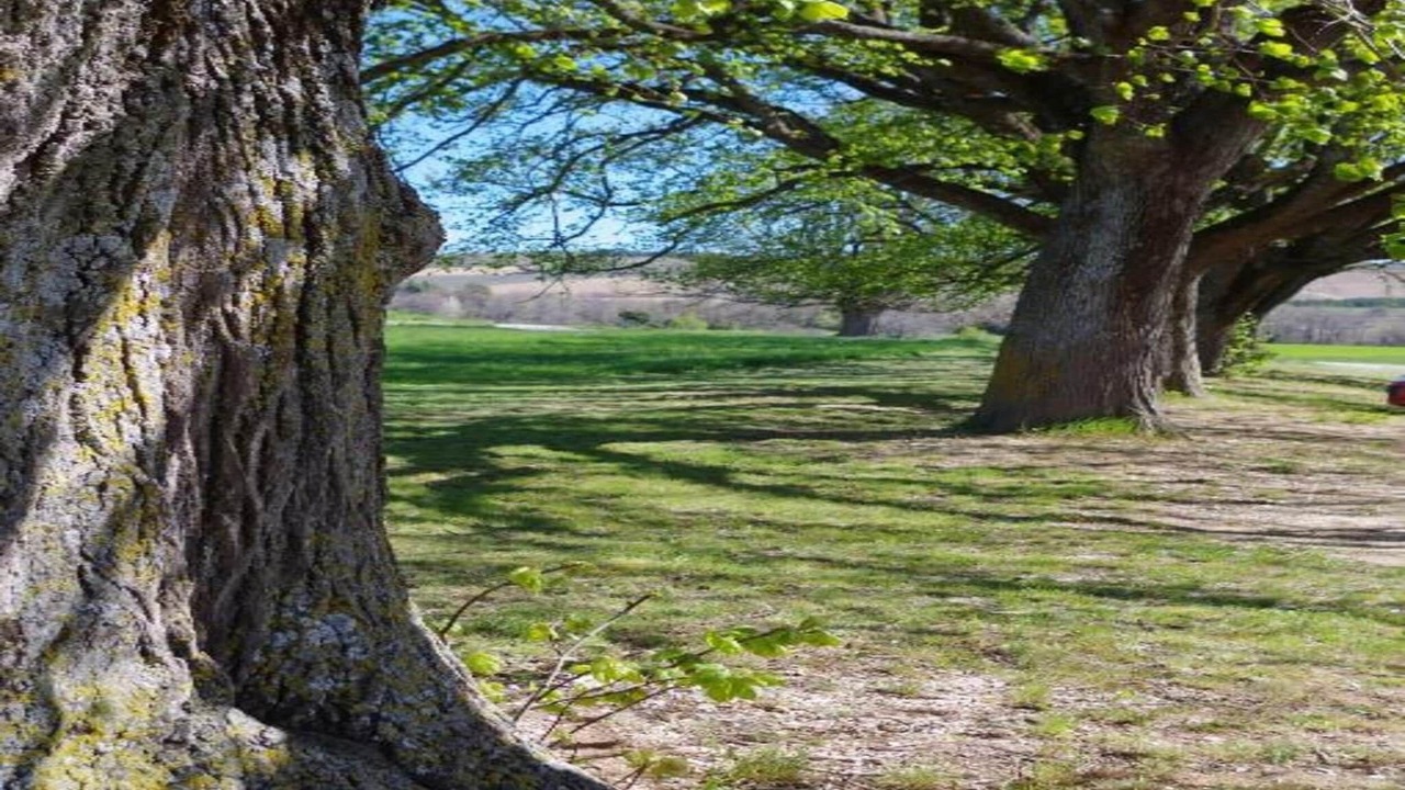 Photo of Others in Lus-la-Croix-Haute