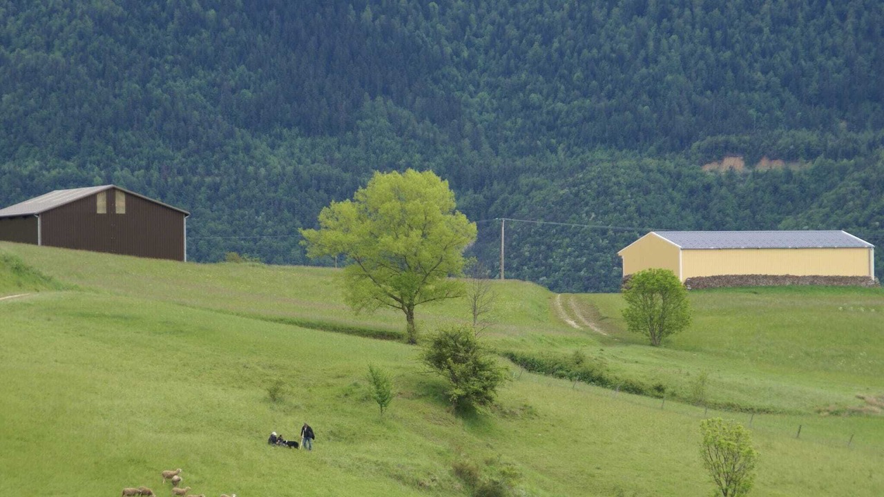 Photo of Others in Lus-la-Croix-Haute