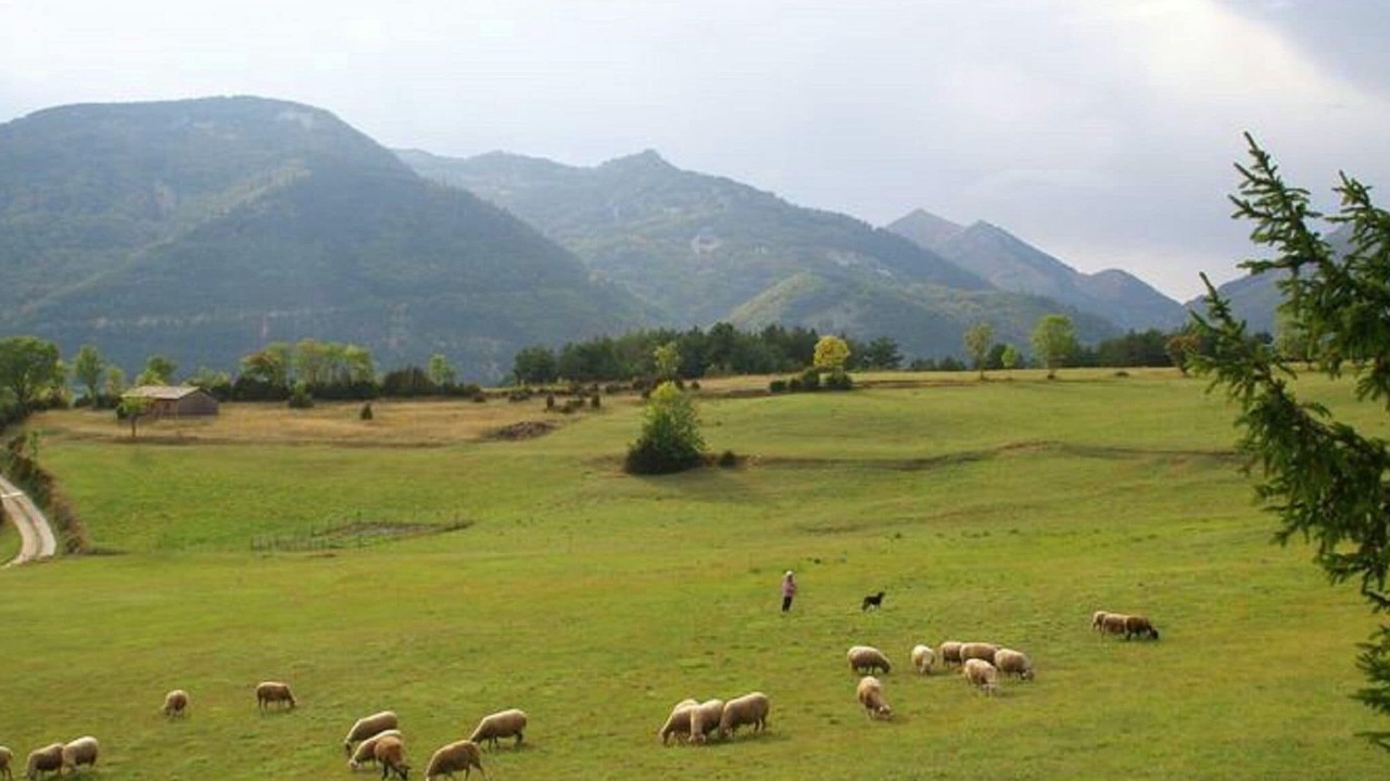 Photo of Others in Lus-la-Croix-Haute