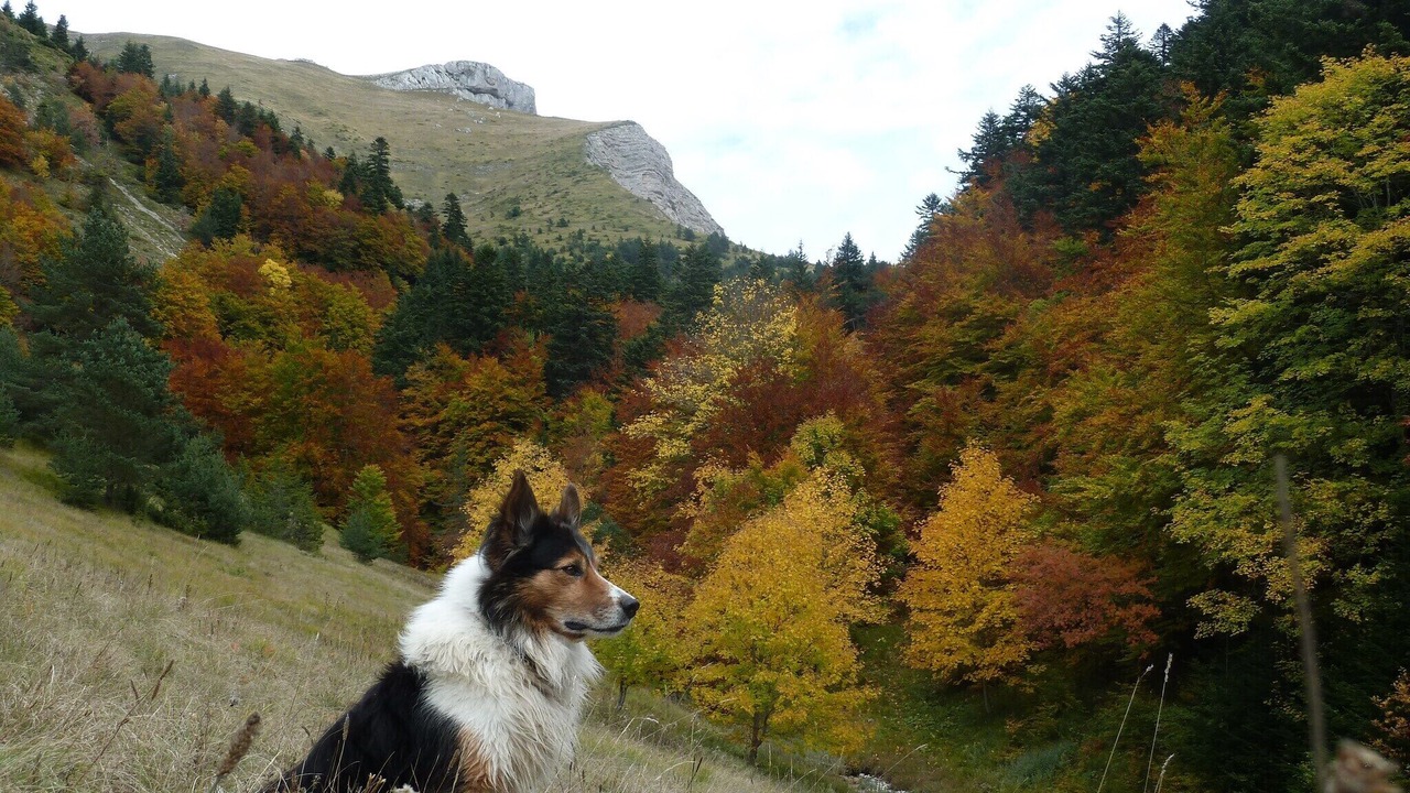Photo of Others in Lus-la-Croix-Haute