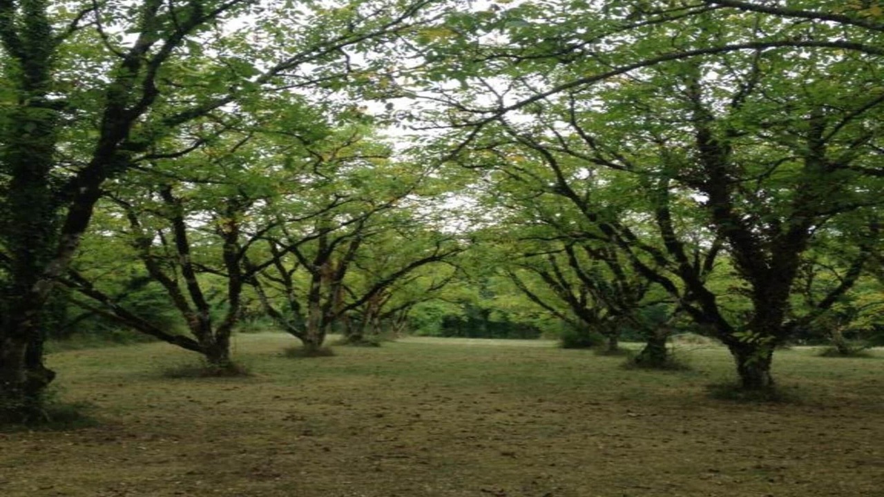 Photo of Others in Saint-Clair-sur-l'Elle