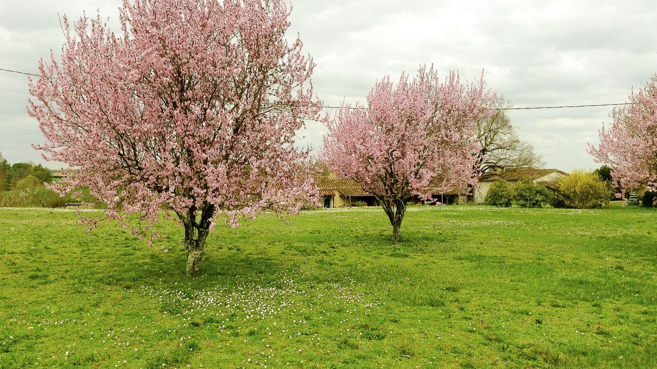 Photo of Outdoor in Saint-Eutrope-de-Born