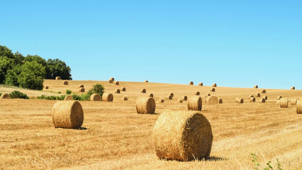 Photo of Others in Saint-Eutrope-de-Born