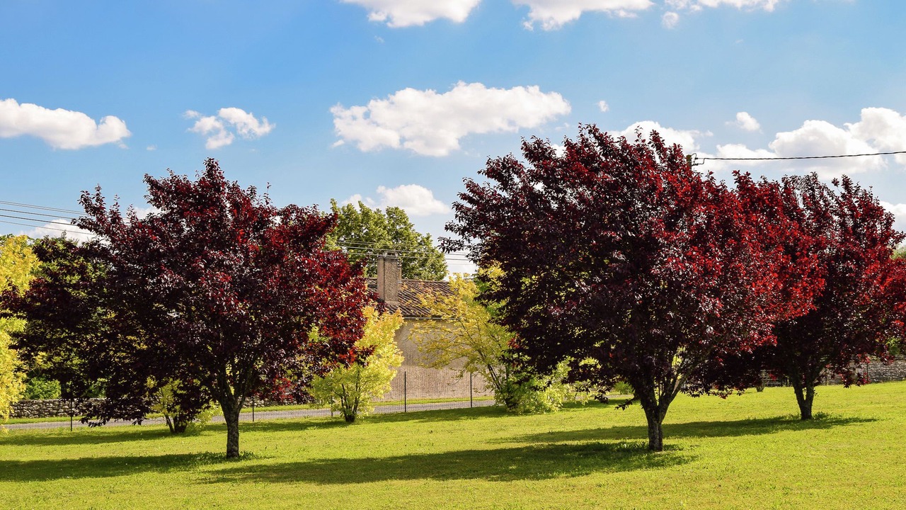 Photo of Outdoor in Saint-Eutrope-de-Born