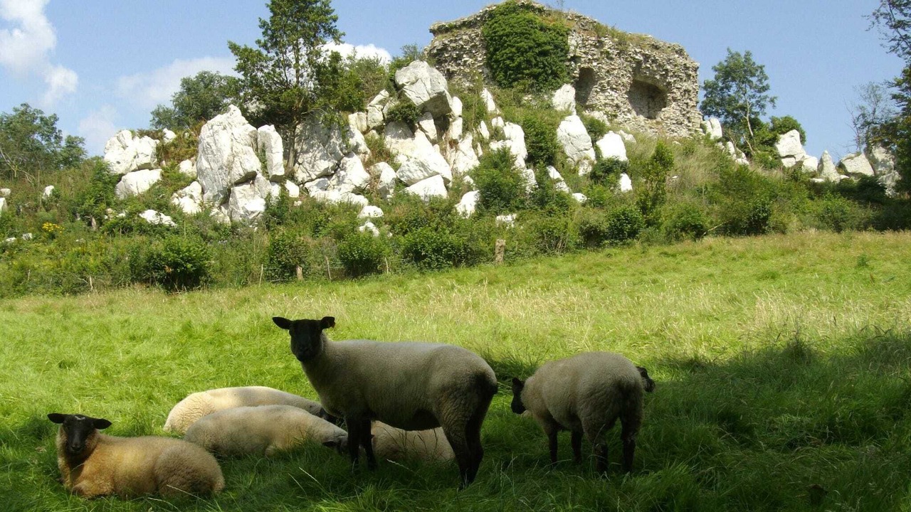 Photo of Others in La Croix-Blanche