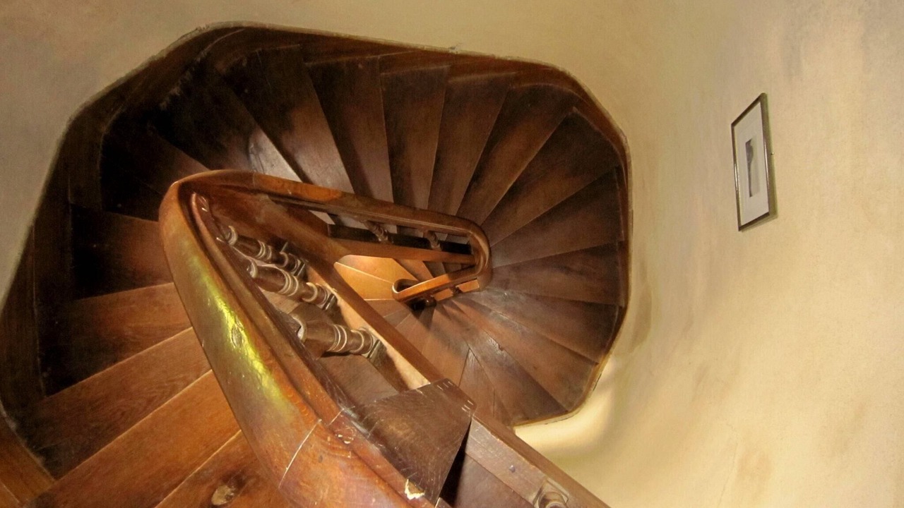 Photo of Others in Saint-Paul-du-Bois