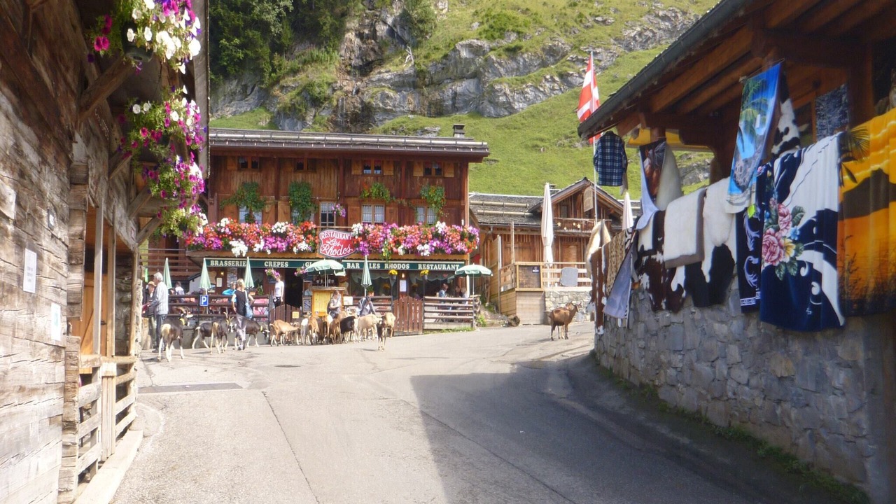 Photo of Others in Saint-Jean-dʼAulps