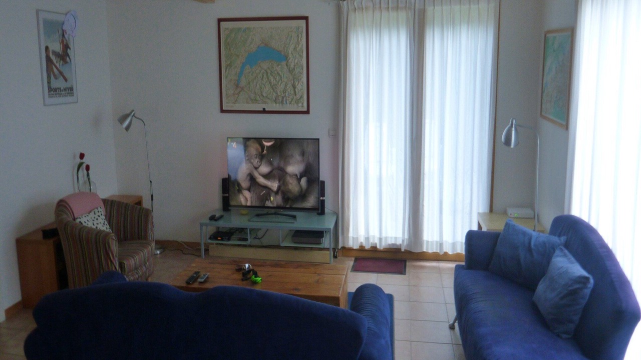 Photo of Livingroom in Saint-Jean-dʼAulps