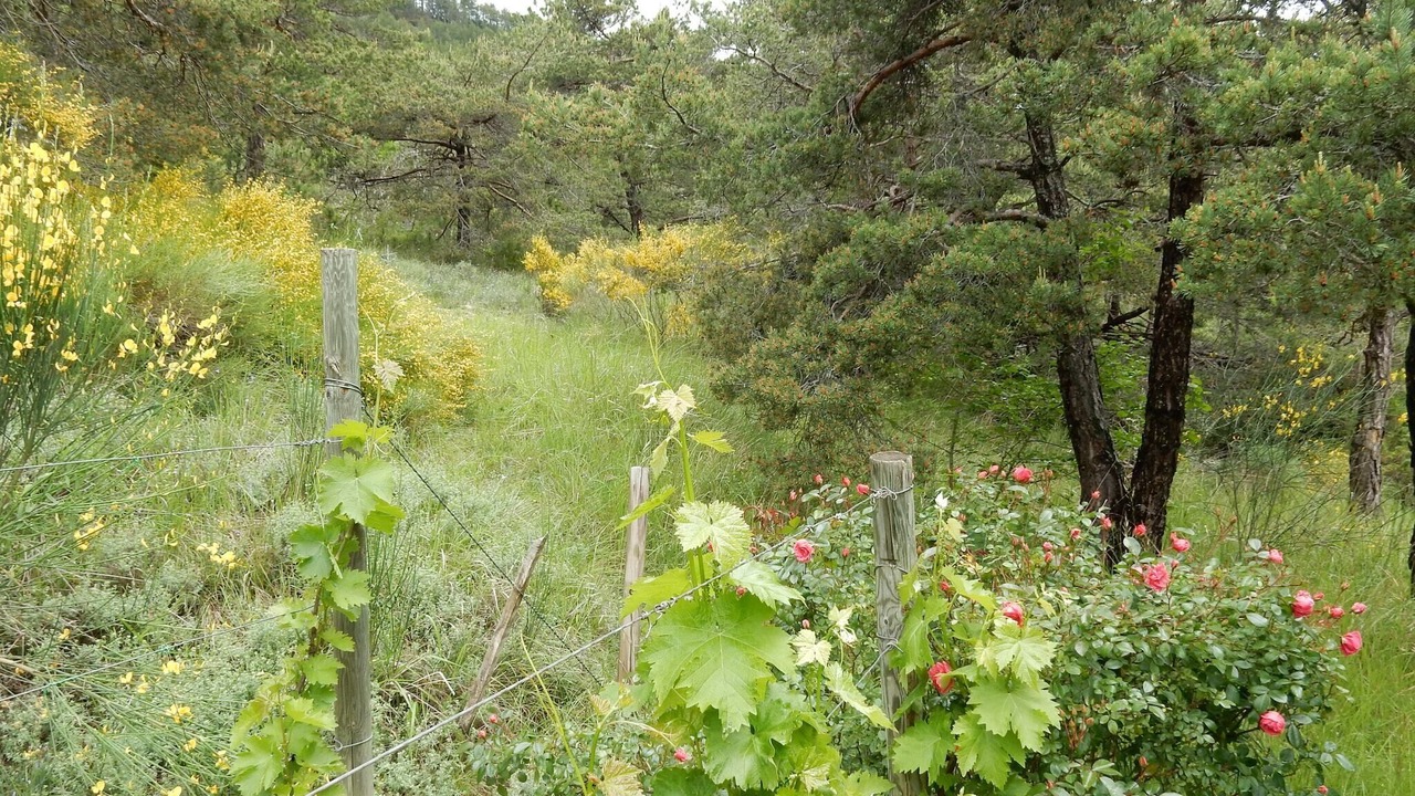 Photo of Others in Marignac-en-Diois