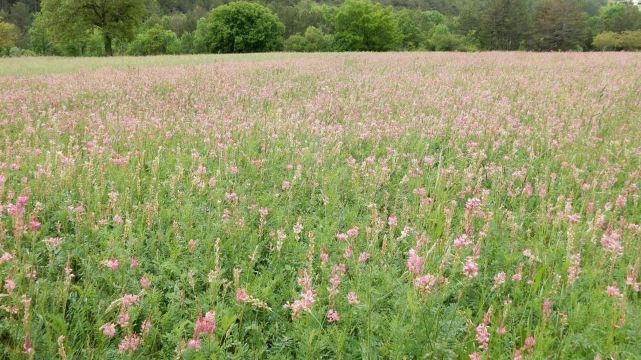 Photo of Others in Marignac-en-Diois
