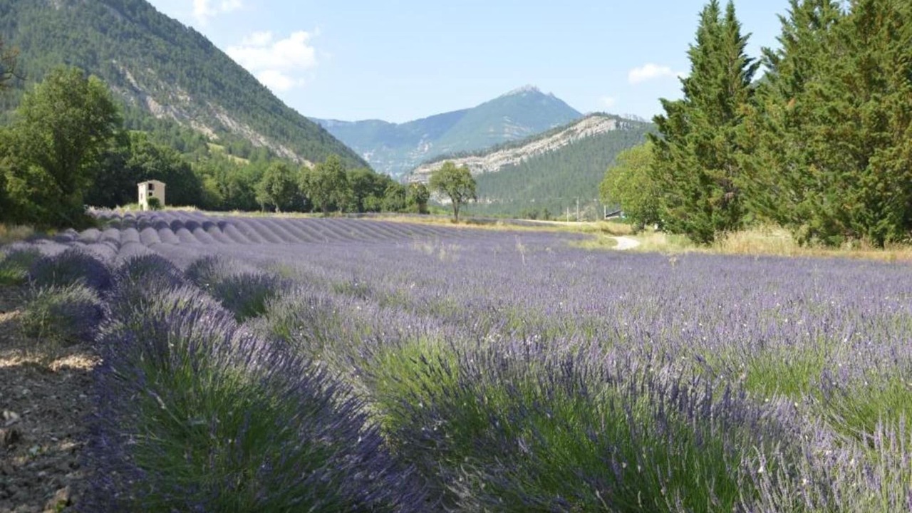 Photo of Others in Marignac-en-Diois