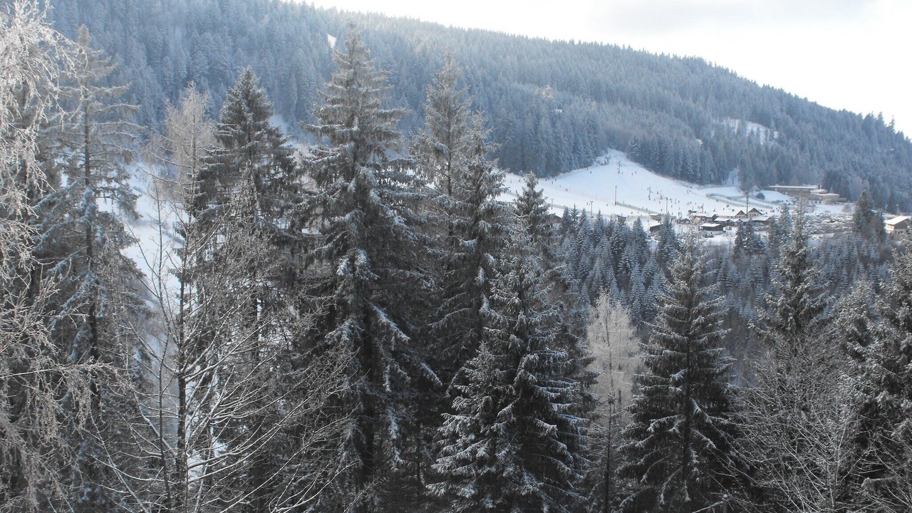 Photo of Others in Gerbepal