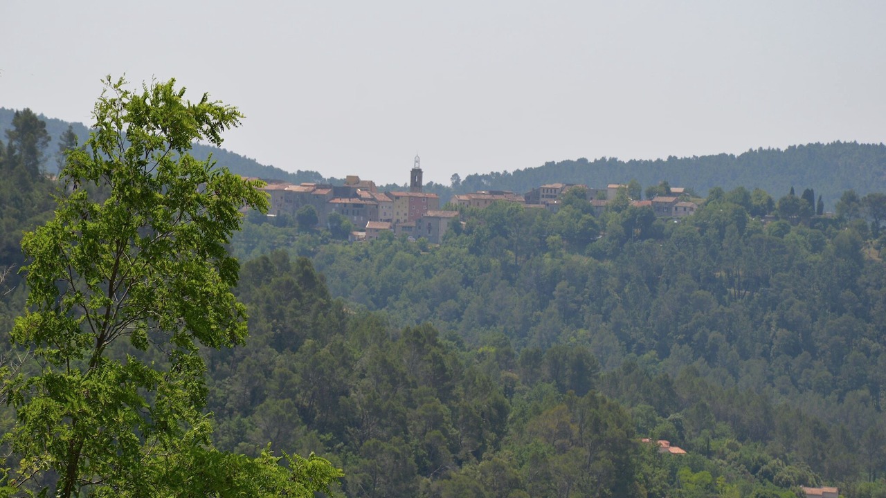 Photo of Others in Bargemon