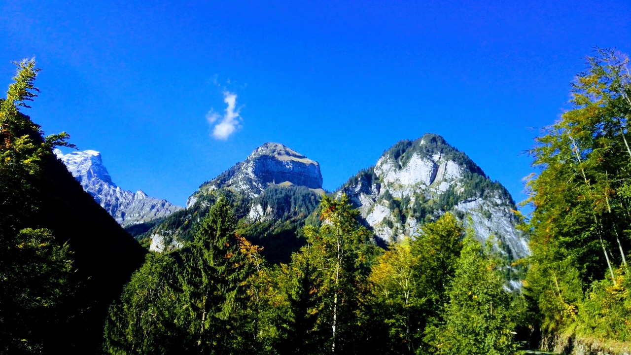 Photo of Others in Isenthal