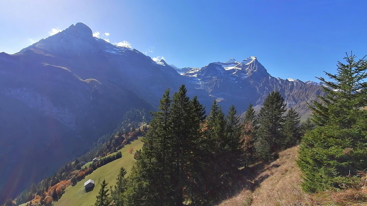 Photo of Others in Isenthal
