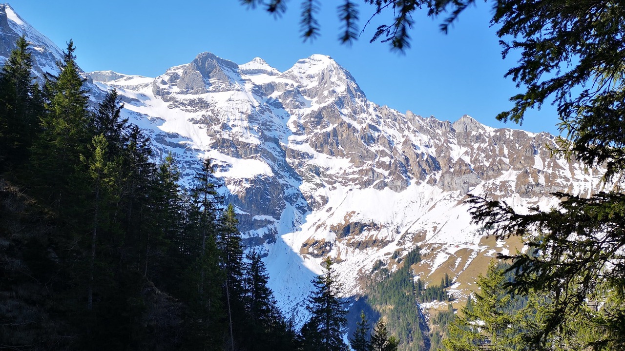 Photo of Others in Isenthal