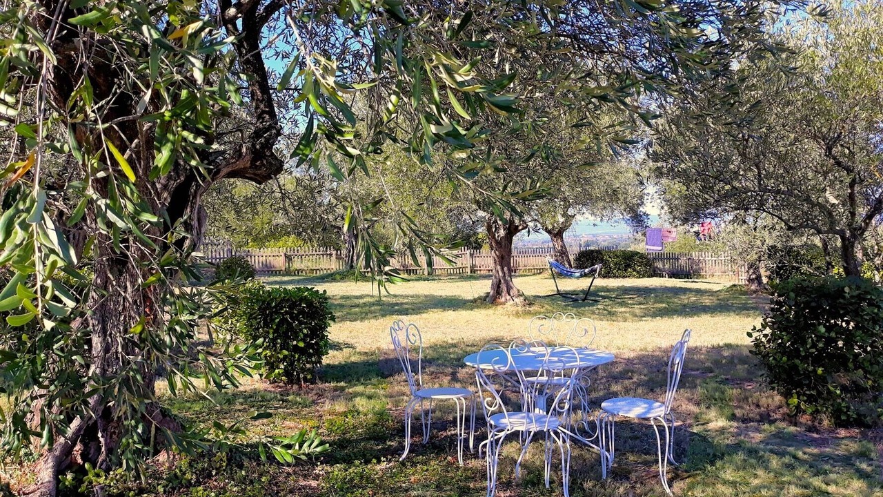 Photo of Outdoor in Tourouzelle