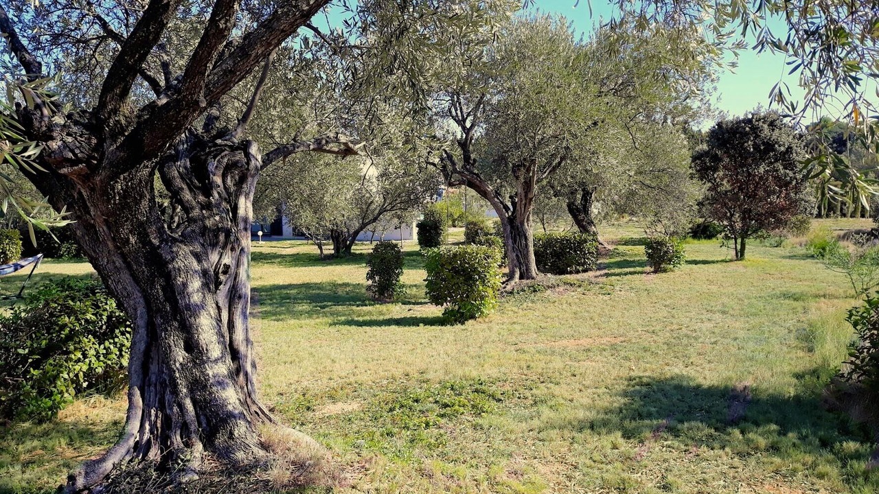 Photo of Outdoor in Tourouzelle