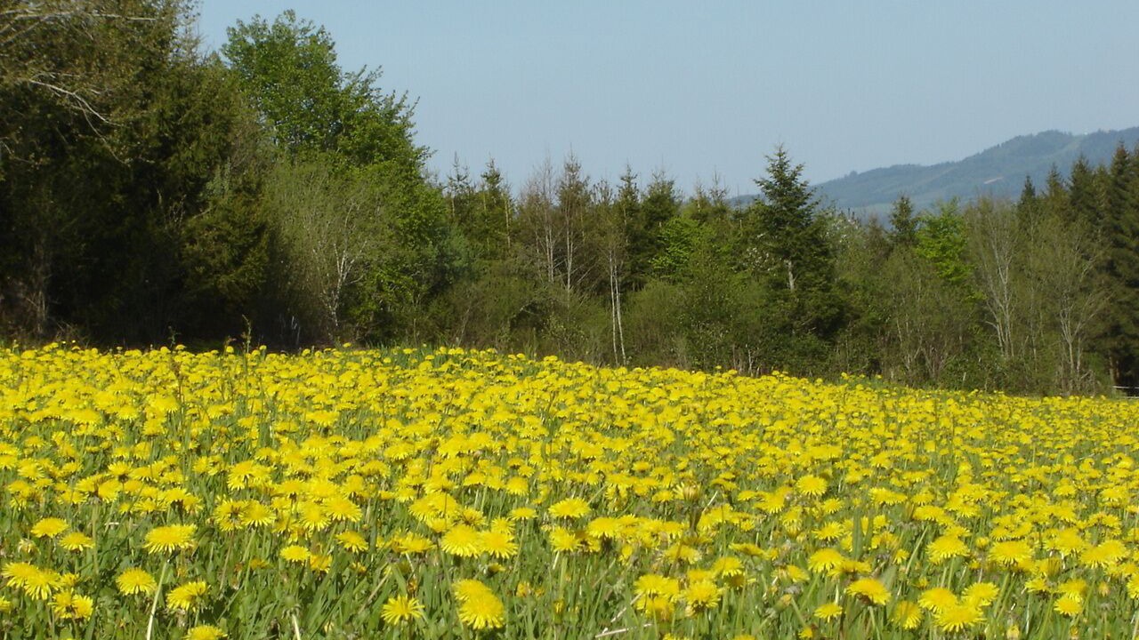 Photo of Outdoor in Belleherbe