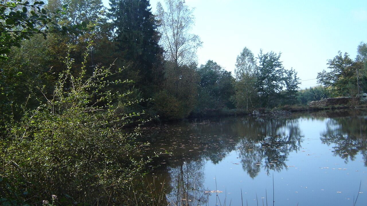 Photo of Others in Belleherbe