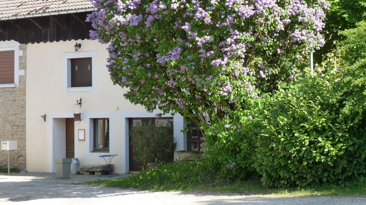 Photo of Outdoor in Belleherbe