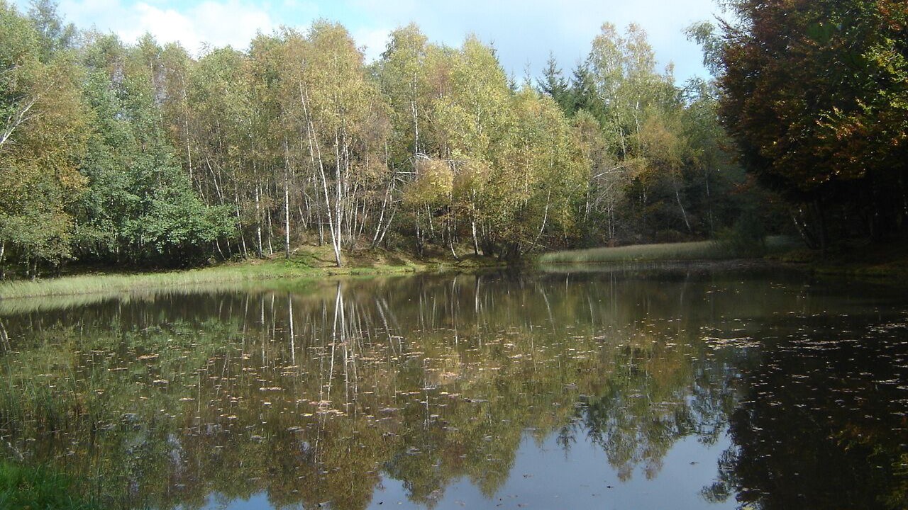 Photo of Others in Belleherbe