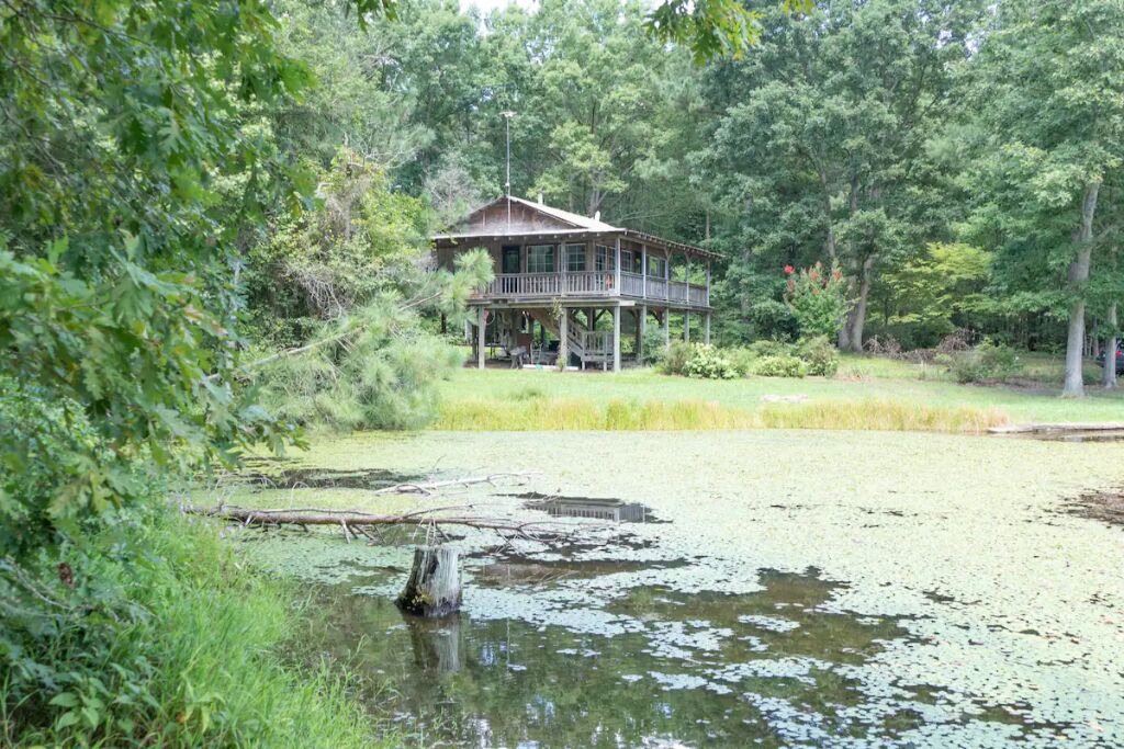 Photo of Outdoor in Dewitt
