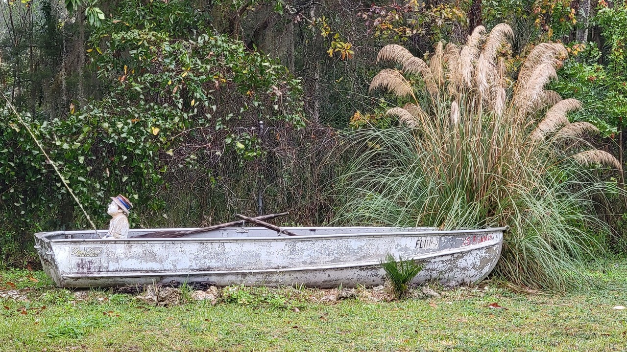 Photo of Others in Homosassa