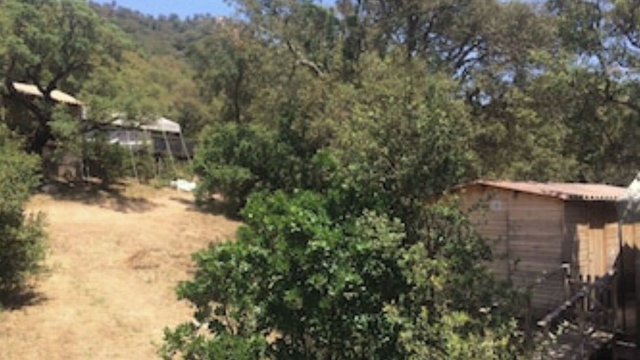 Photo of Outdoor in Pinarellu