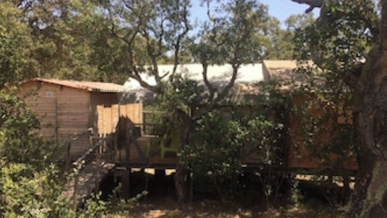 Photo of Outdoor in Pinarellu