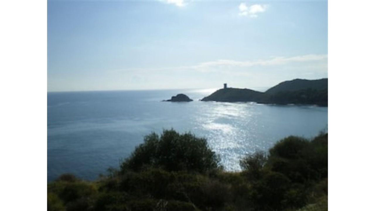 Photo of Others in Pinarellu