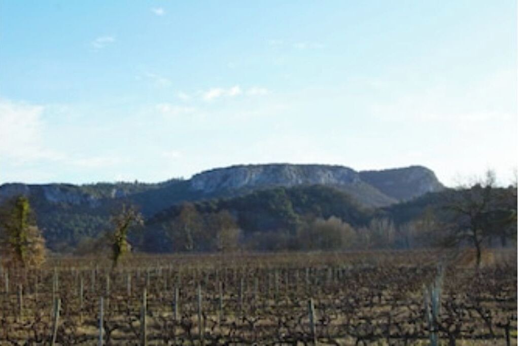 Photo of Others in Vallon-Pont-d'Arc