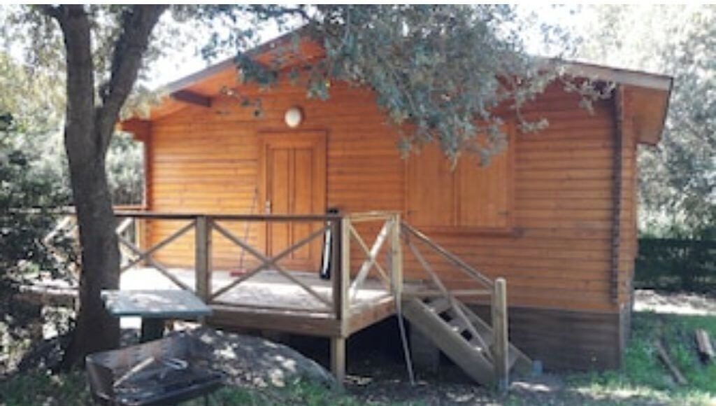 Photo of Patio Balcony in Olmeto