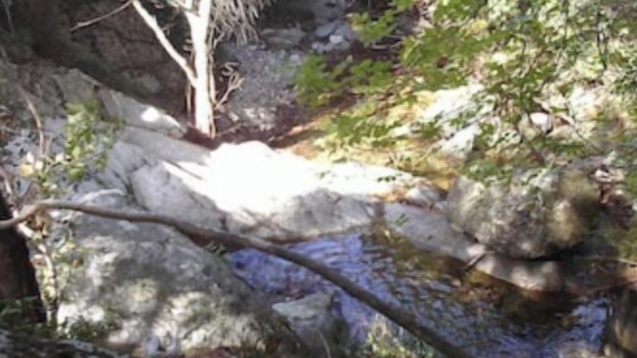 Photo of Others in Olmeto