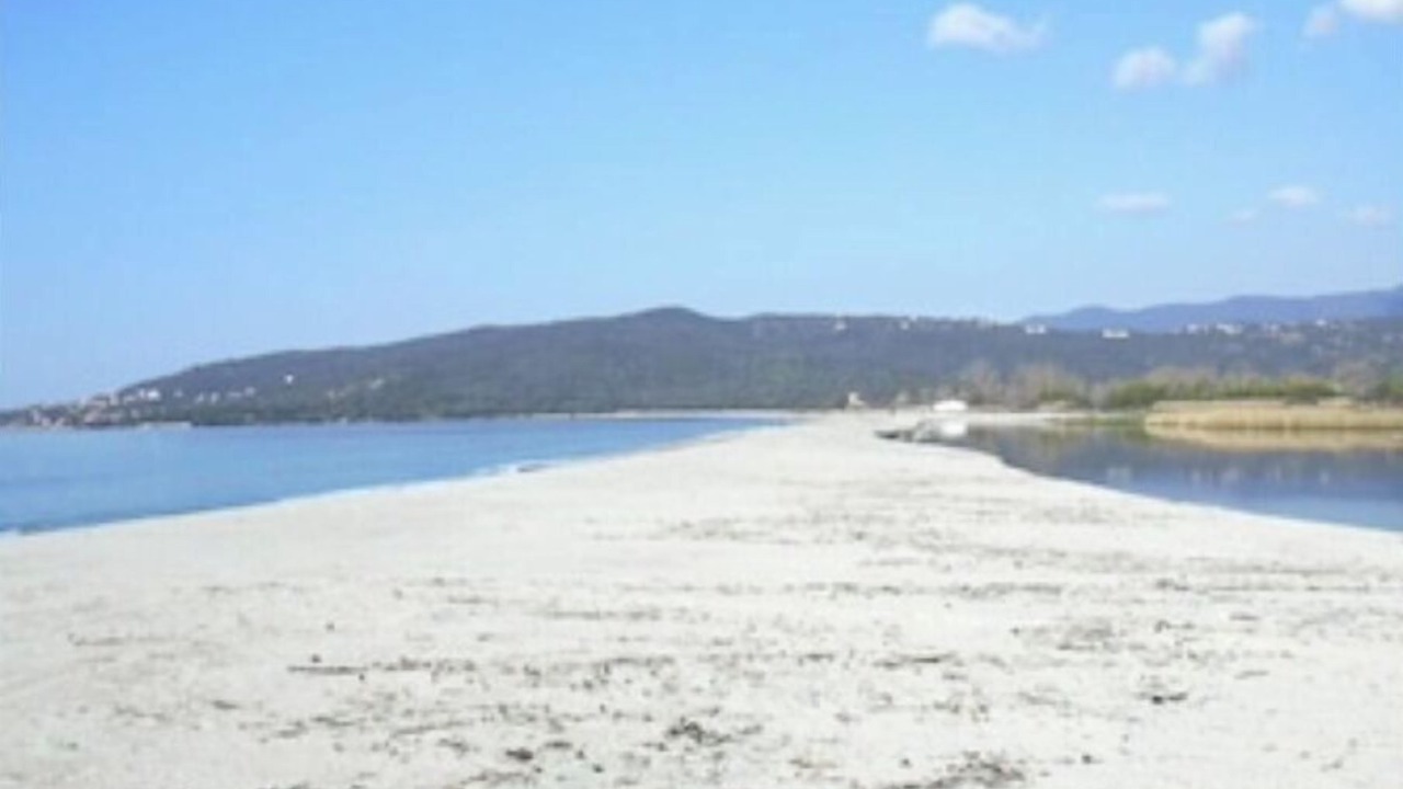 Photo of Others in Olmeto