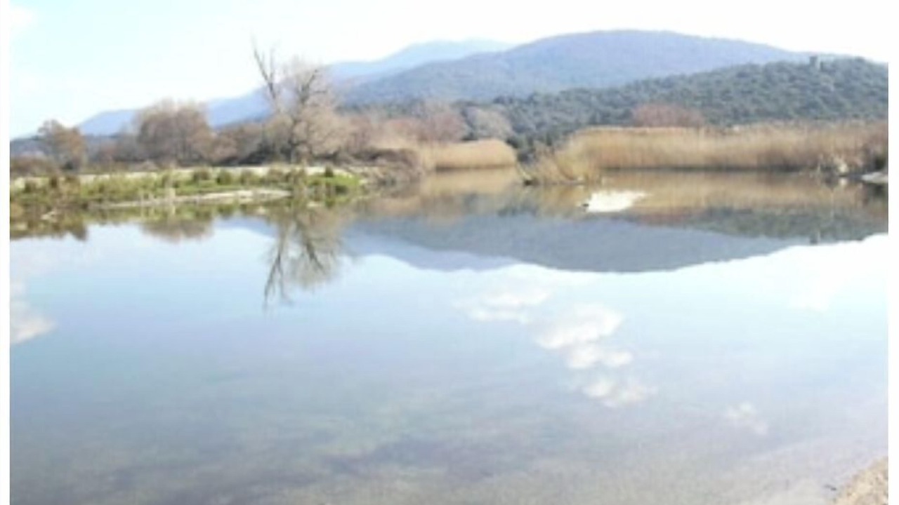 Photo of Others in Olmeto