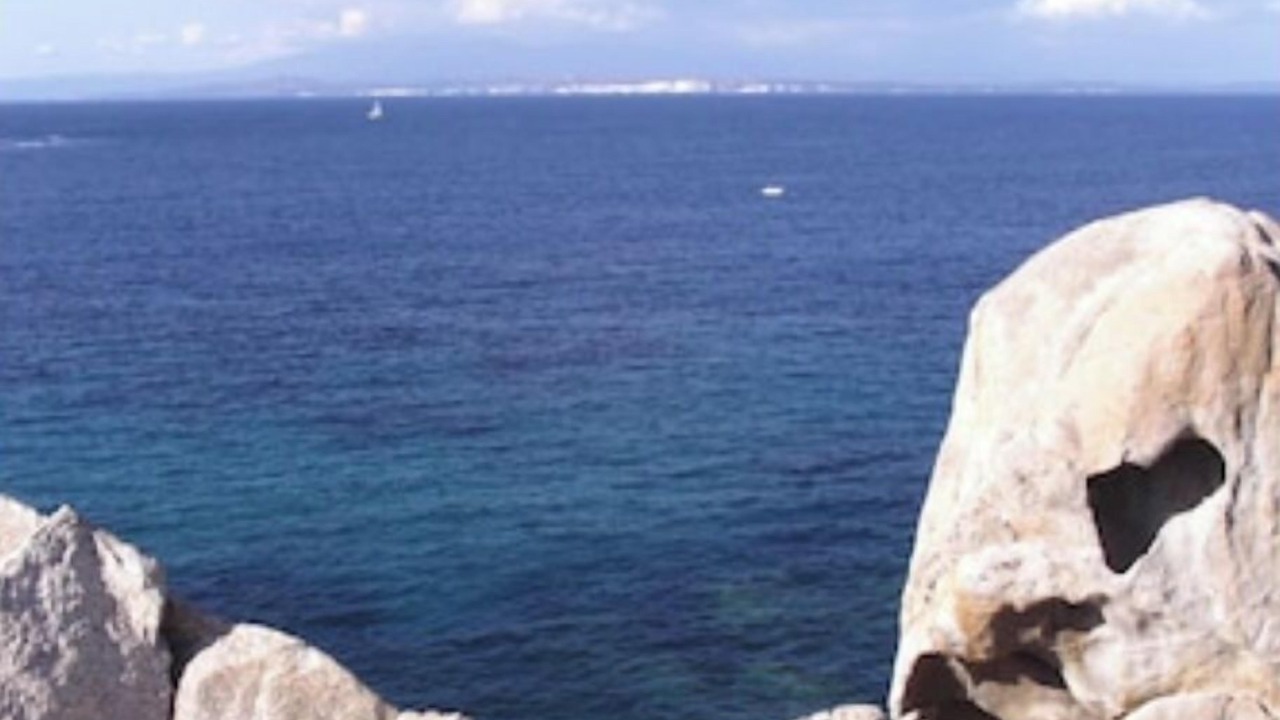 Photo of Others in Olmeto