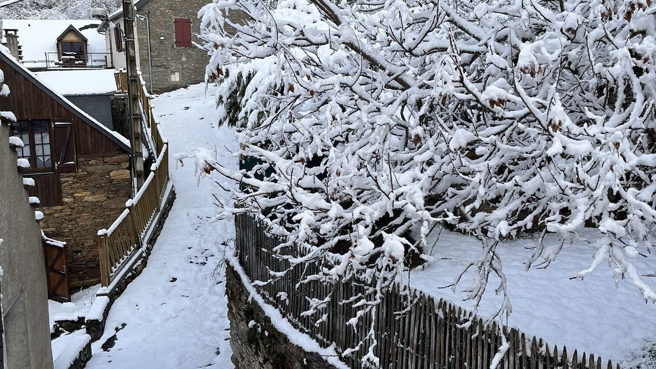 Photo of Outdoor in Baren