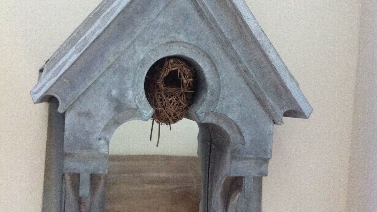 Photo of Others in Connerre