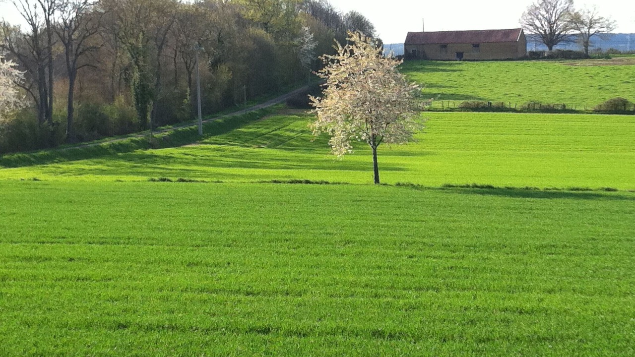 Photo of Others in Connerre