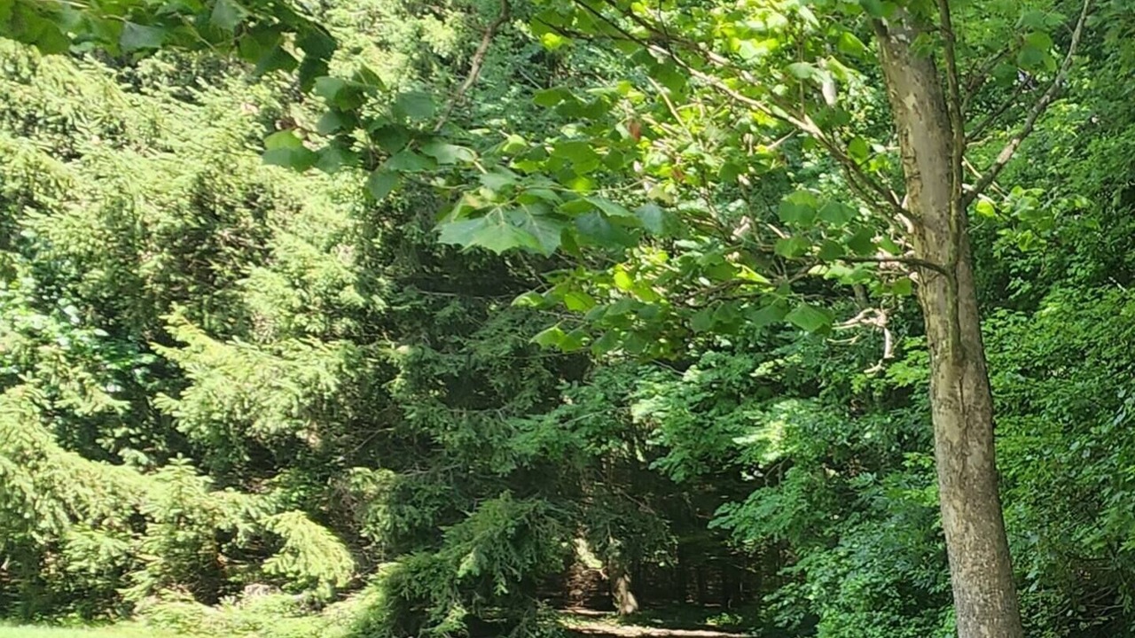 Photo of Outdoor in West Elgin