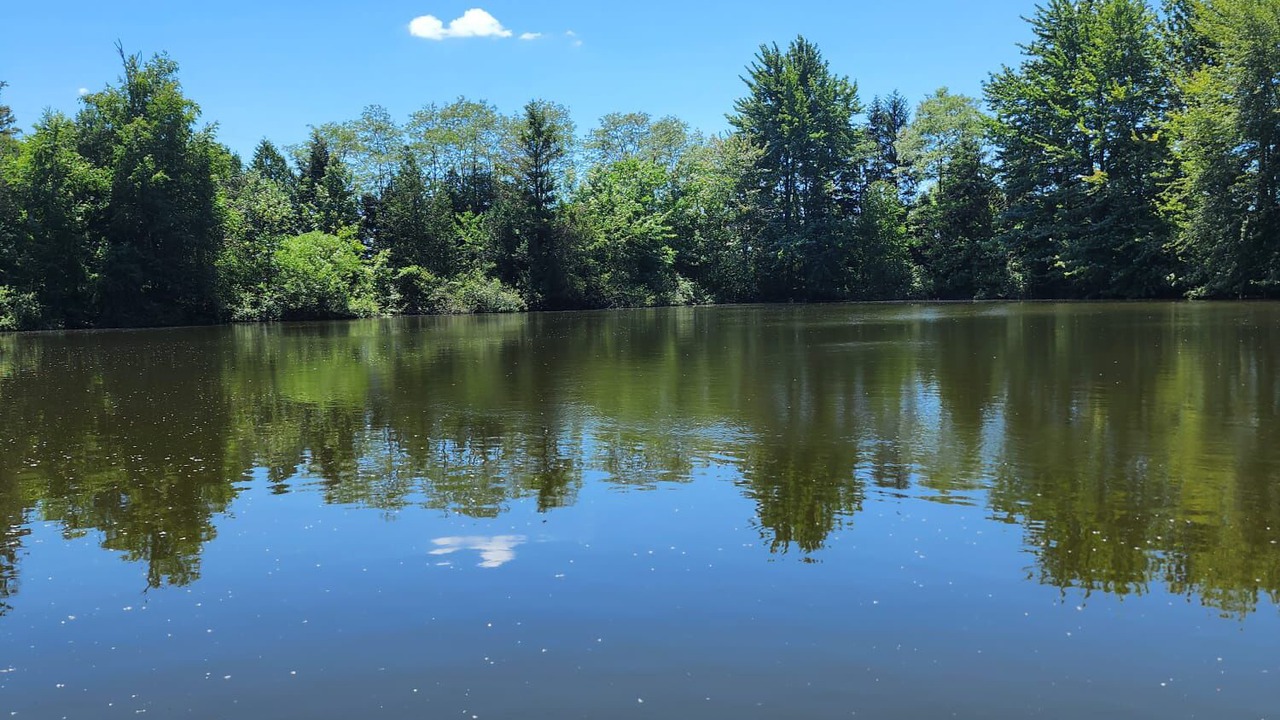Photo of Outdoor in West Elgin