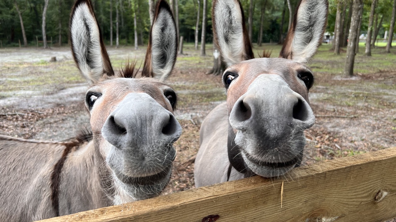 Photo of Others in La Crosse